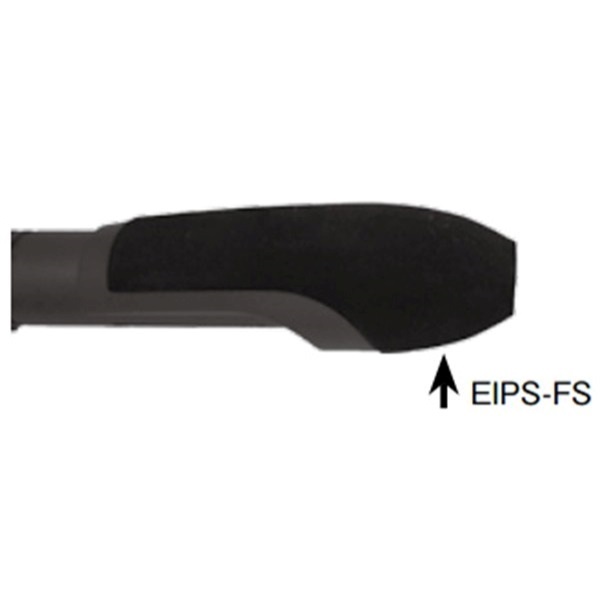 EIPS-FS